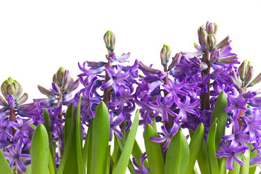 Similar image 10873506