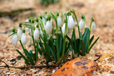 Similar image 10872838