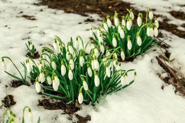 Similar image 10872839