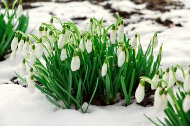 Similar image 10872840