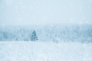 Similar image 10872795