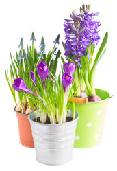 Similar image 10873467