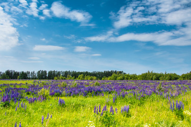 Similar image 10872797