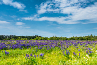 Similar image 10872798