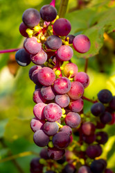 Similar image 10872337