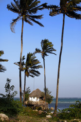 Similar image 10873265