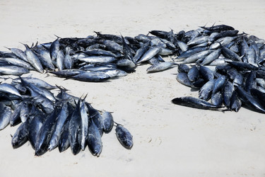 Similar image 10873277