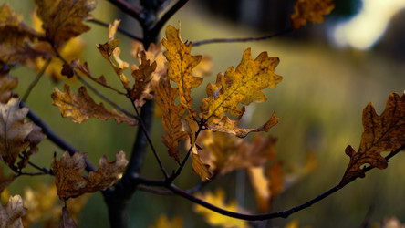 Similar image 10875841