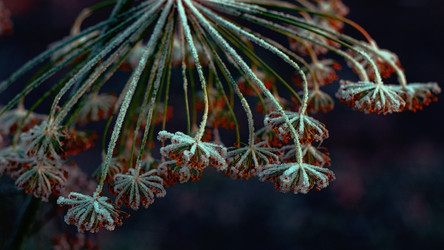 Similar image 10875843