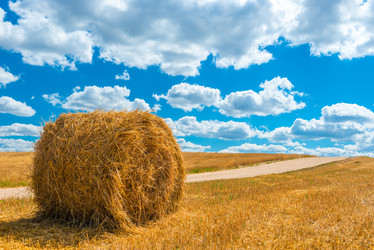 Similar image 10883714