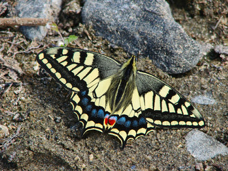 Similar image 10875847