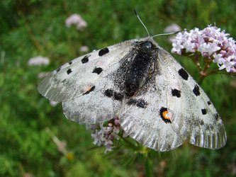 Similar image 10875872