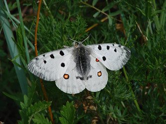 Similar image 10875873