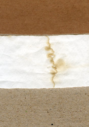 Similar image 10878455