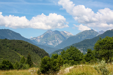 Similar image 10876067