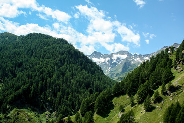 Similar image 10876078