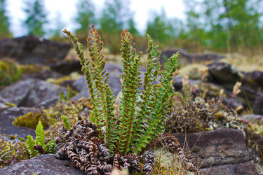 Similar image 10879924