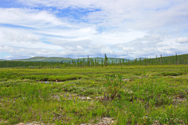 Similar image 10879944