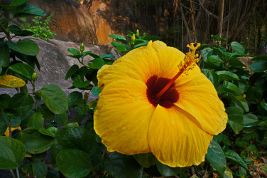 Similar image 10879951