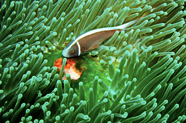 Similar image 10879956