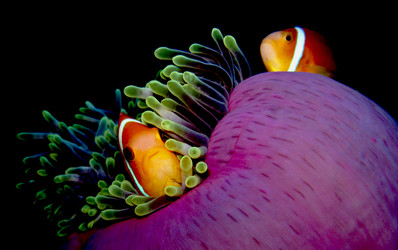 Similar image 10879957