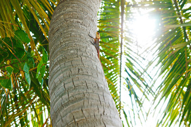 Similar image 10879961