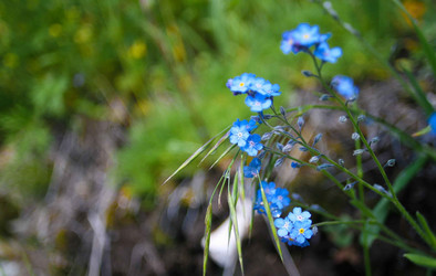 Similar image 10879963