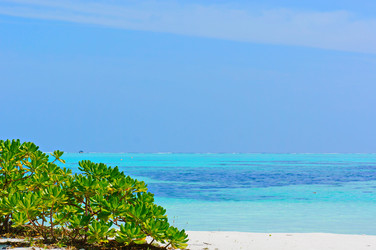 Similar image 10879964