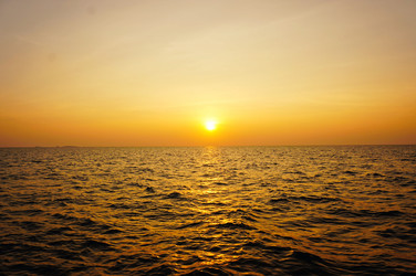 Similar image 10879972