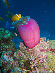 Similar image 10879973