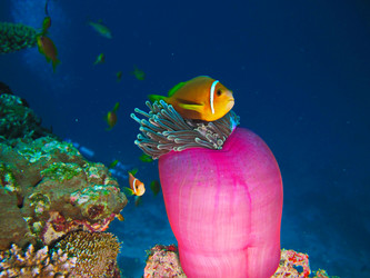 Similar image 10879974