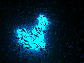 Similar image 10879975