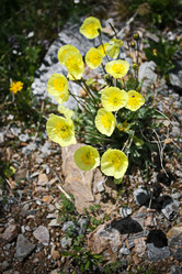 Similar image 10880000