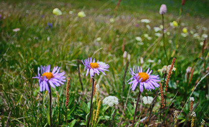 Similar image 10879935