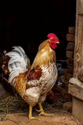 Similar image 10877688