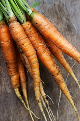 Similar image 10877696