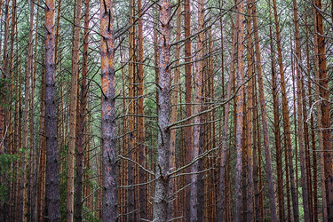 Similar image 10877698