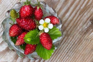 Similar image 10877702