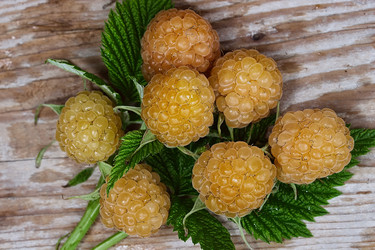 Similar image 10877706