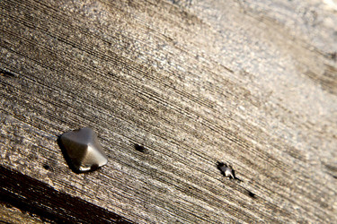 Similar image 10885141