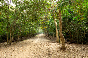 Similar image 10875918