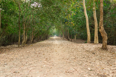 Similar image 10875919