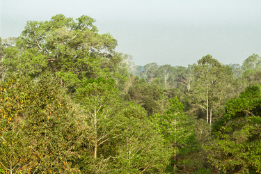 Similar image 10876852