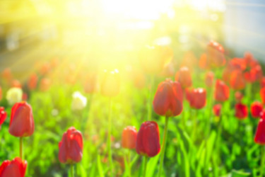 Similar image 10878607