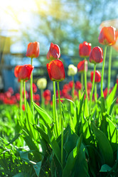 Similar image 10878608