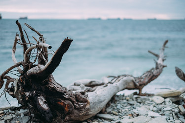 Similar image 10878517