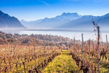 Similar image 10876996