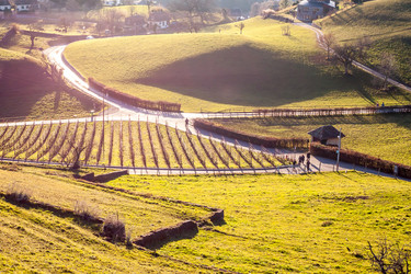 Similar image 10876998