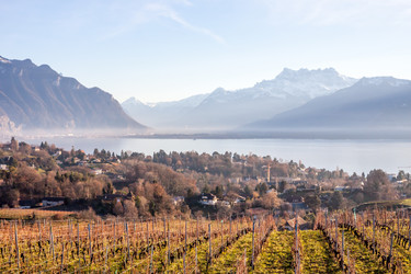 Similar image 10876999