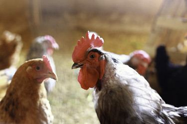 Similar image 10878853